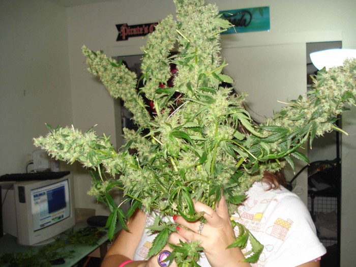 weed woman