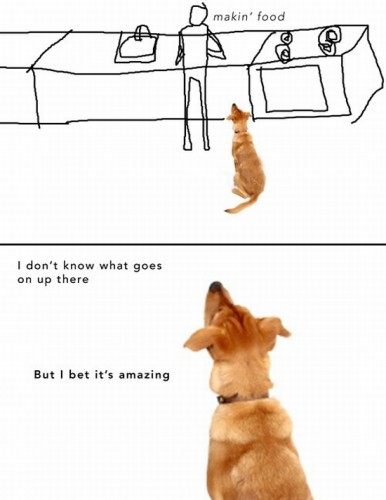 I dont know what goes on up there