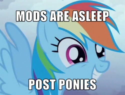 mods are asleep - POST PONIES