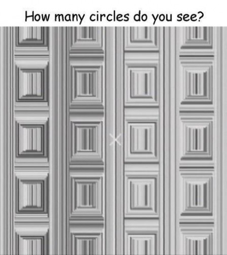 how many circles do you see