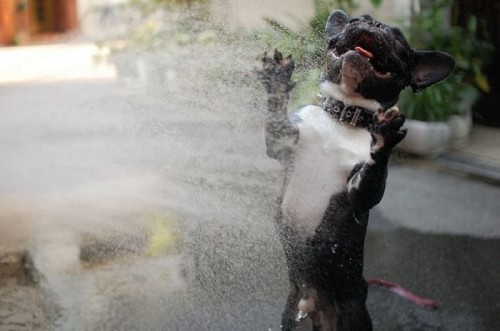 d0276b975c2de450d80e6e825e047a