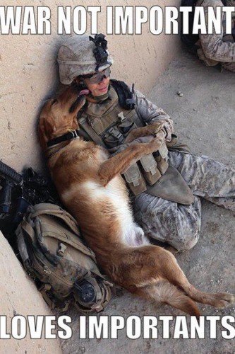 war is not important - loves importants