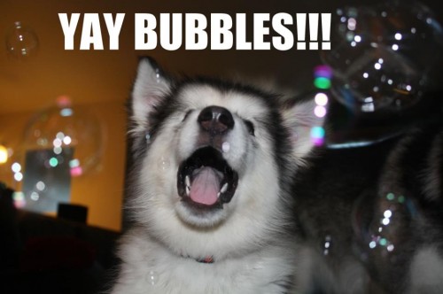 yay bubbles