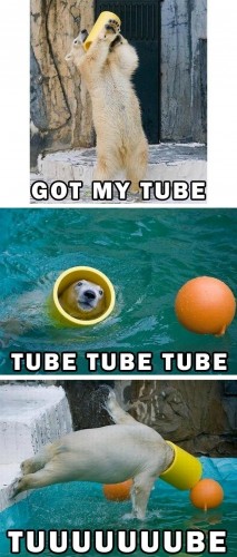 Bear Tube