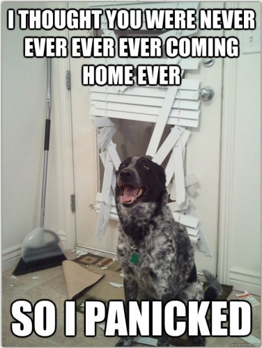 I thought you were never coming home