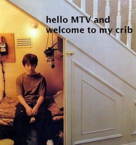 hello mtv and welcome to my crib