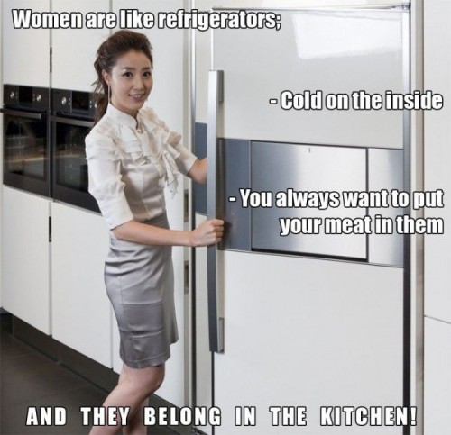 women are like refrigerators