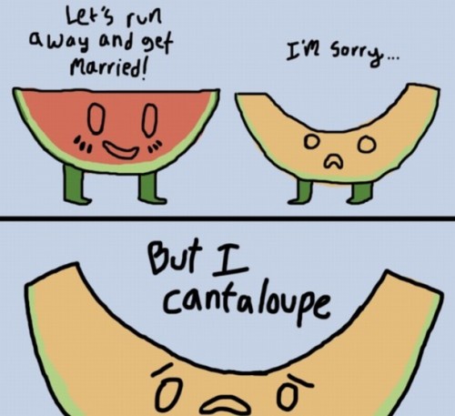 I cantaloupe