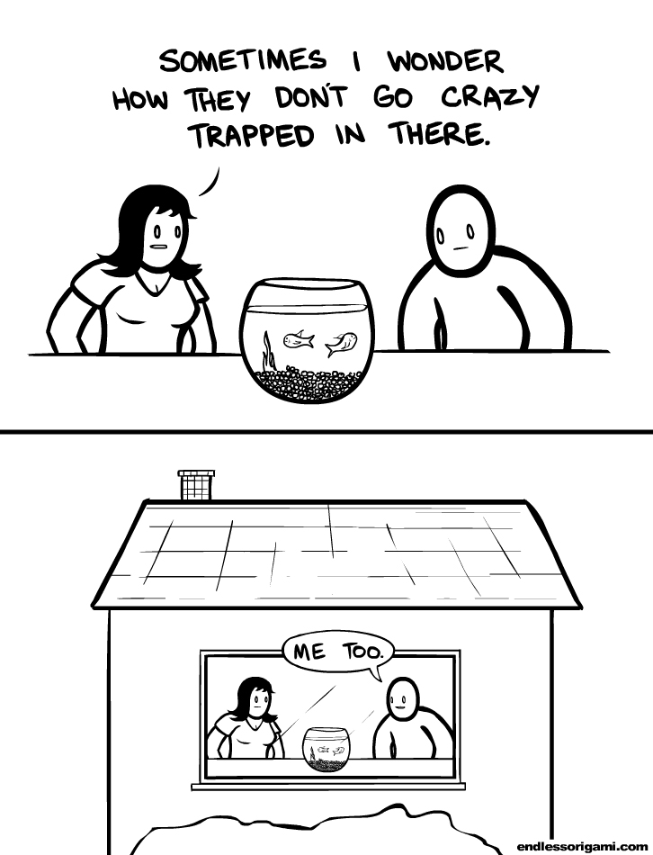 Цитаты о волшебстве и чудесах. Непрочитанные книги умеют мстить особенно хорошо это удаётся. Как же им это удается. Мама зебра папа лось как им это удалось. Непрочитанная книга.