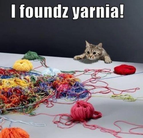 I foundz yarnia