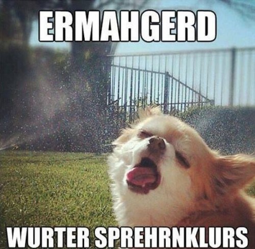 ermahgerd - wurter sprehrnklurs