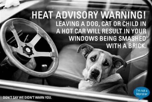 head advisory warning