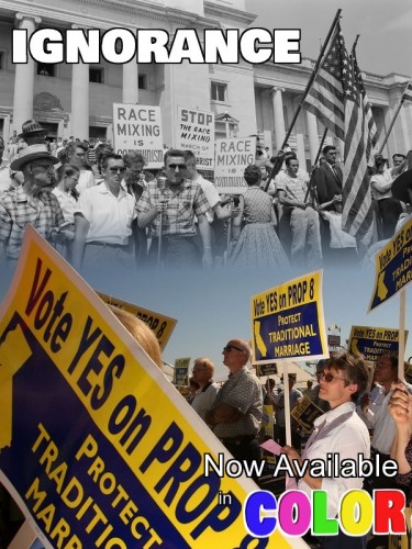 ignorance - now available in color