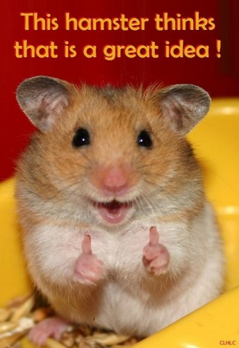 this hamster thinks that is a great idea