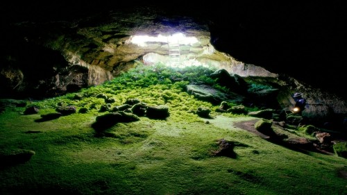underground garden