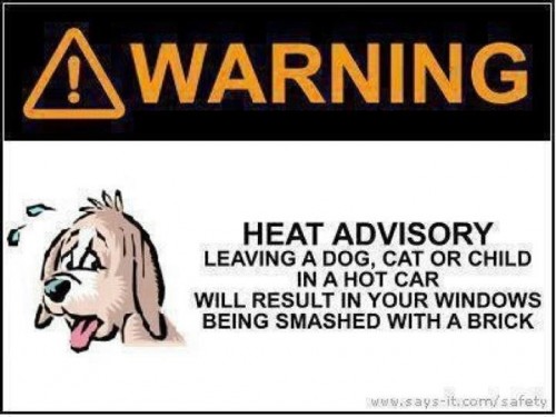 warning - heat advisory