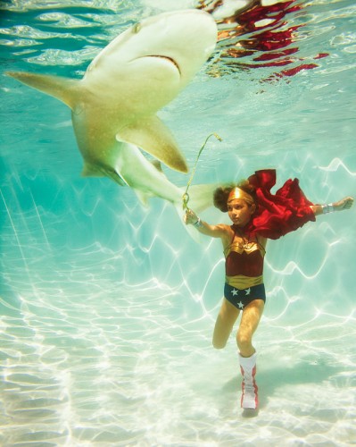 wonder woman vs shark 