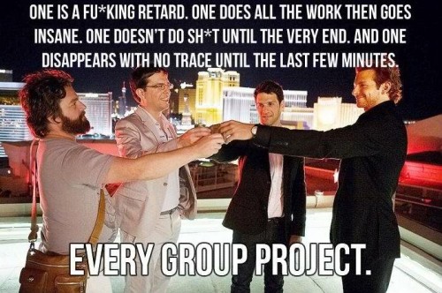 every team project