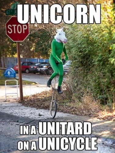 unicorn in a unitard on a unicycle