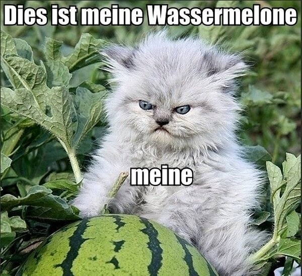 Dies ist meine wassermelone, meine.jpg