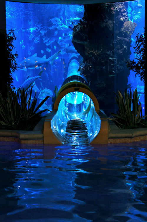 awesome water slide.png awesome water slide.png