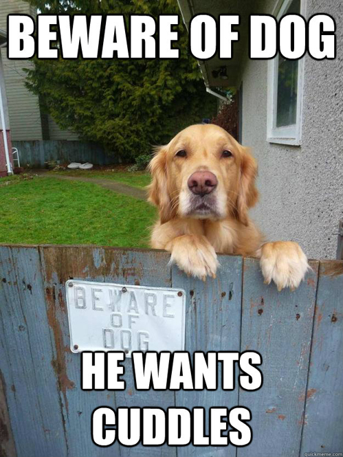 beware of dog - he wants cuddles.jpg