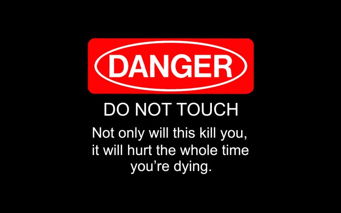 danger - do not touch - not only will this kill you, it will hurt the whole time youre dying.jpg