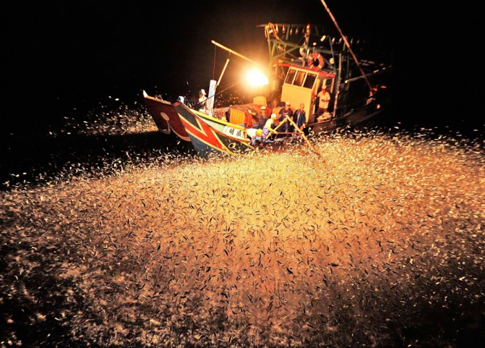 fishing at night.jpg