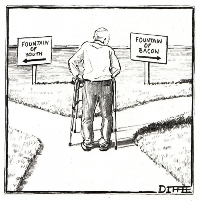 found of youth vs fountain of bacon.jpg