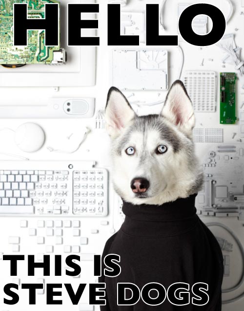 hello - this is steve dogs.jpg