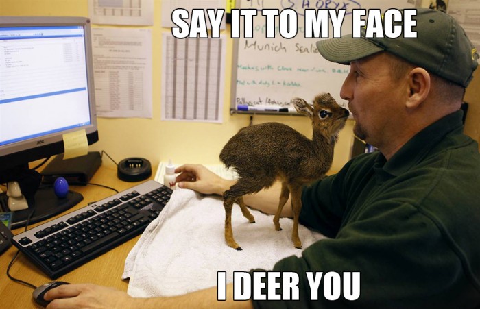 say it to my face - I deer you.jpg