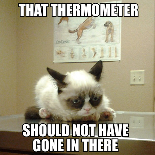 that thermometer should not have gone there.jpg