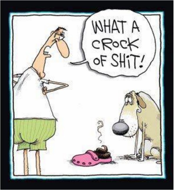 what a crock of shit.jpg