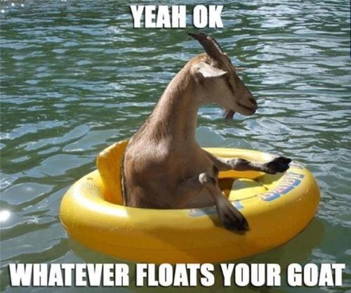 yeah ok, whatever floats your goat.jpg