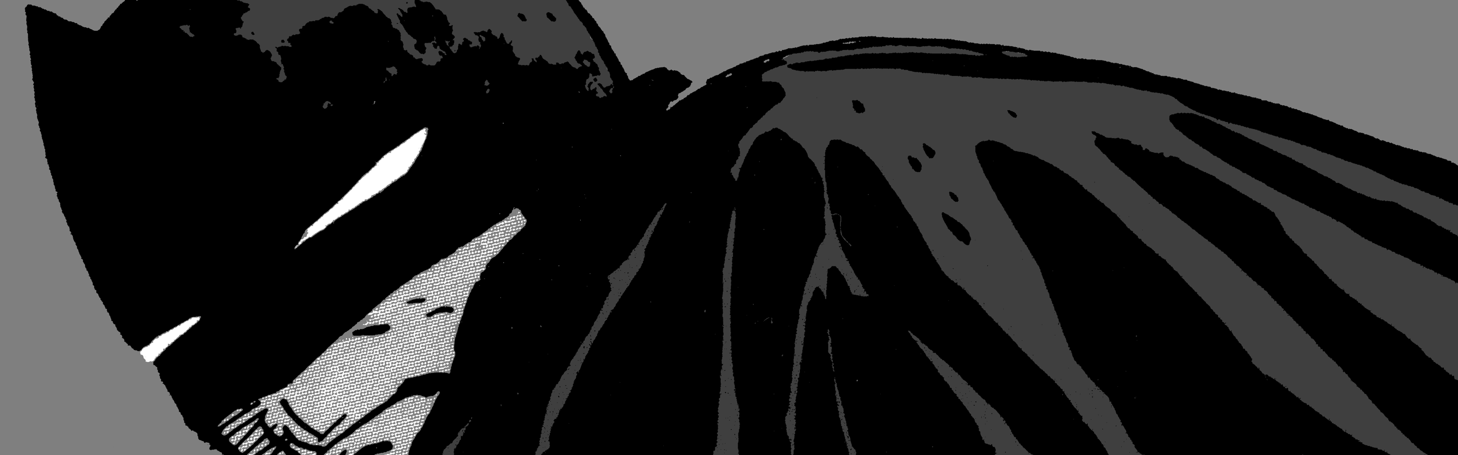 batman by pope.gif batman by pope.gif