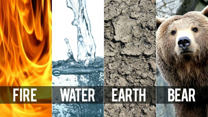 fire water earth bear.jpg