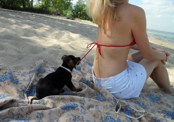 good puppy pulling on bikini top.jpg