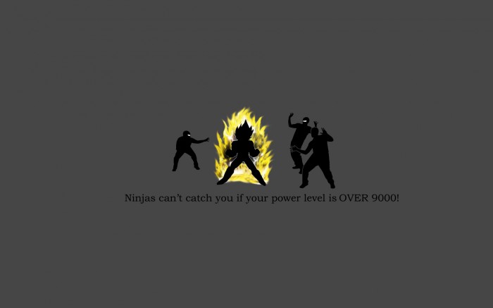 ninjas can't catch you if your power leve is OVER 9000.jpg