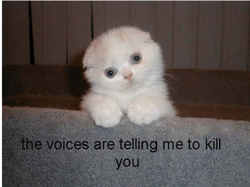 the voices are telling me to kill you.gif