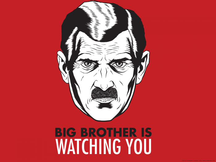 big brotther is watching you.png