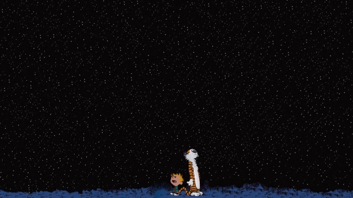 calvin and hobbes - night sky.jpg
