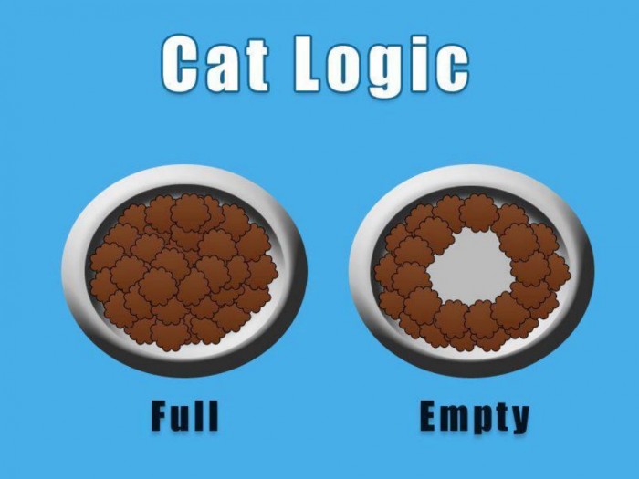 cat logic.jpg