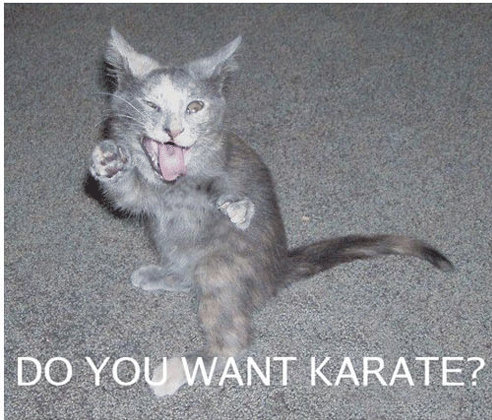 do you want karate.gif do you want karate.gif