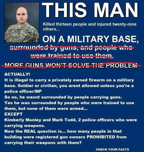 more guns will solve the problem.jpg