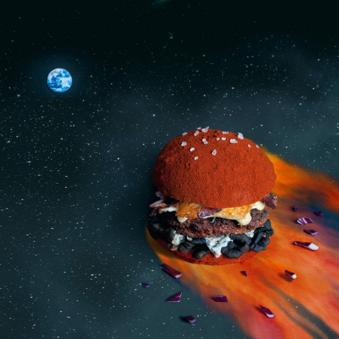 space hamburger.jpg