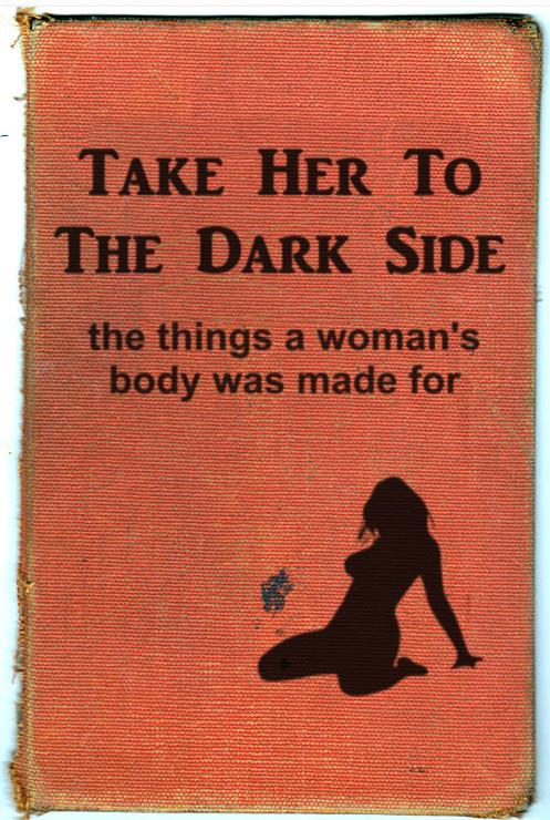 take her to the dark side.jpg