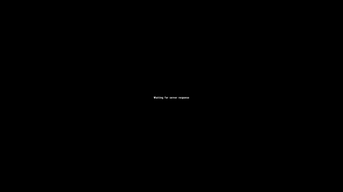 waiting for server response.png