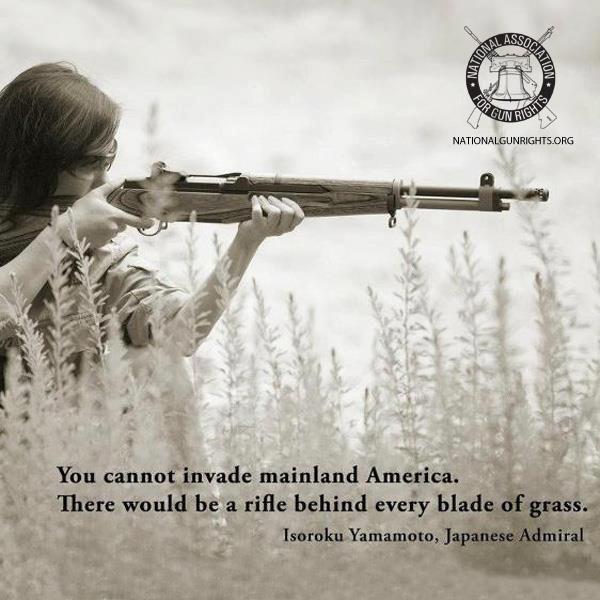 you cannot invade mainland america, there would be a rifle behind every blade of grass.jpg