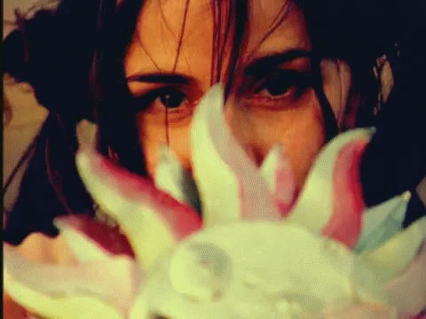 Cranes-Shinning_Road_1