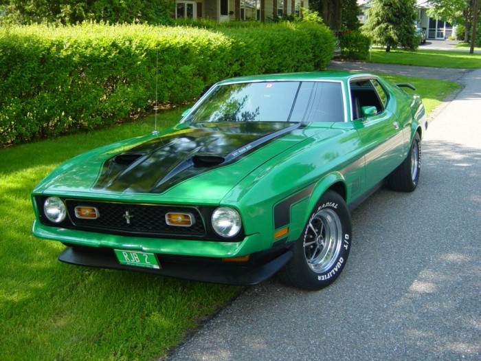 Green Mustang.jpg